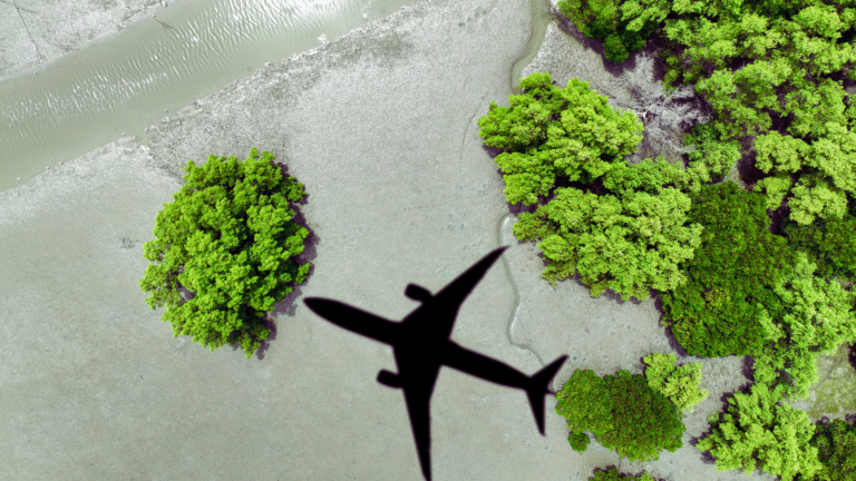 How to Travel Sustainably: Essential Tips for Eco-Friendly Adventures