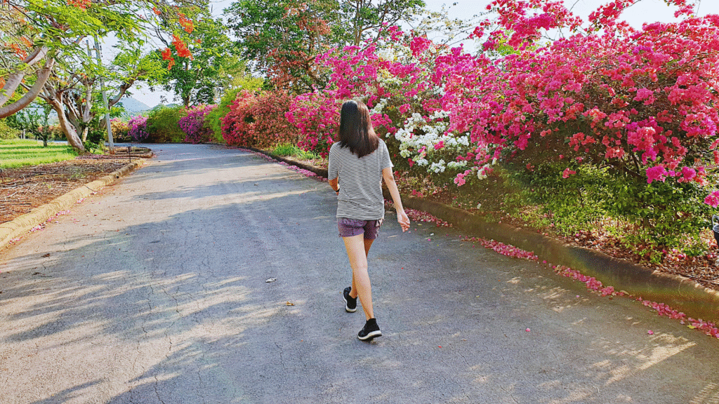 How Daily Walks Create Mental Clarity: Unlocking Focus and Reducing Stress