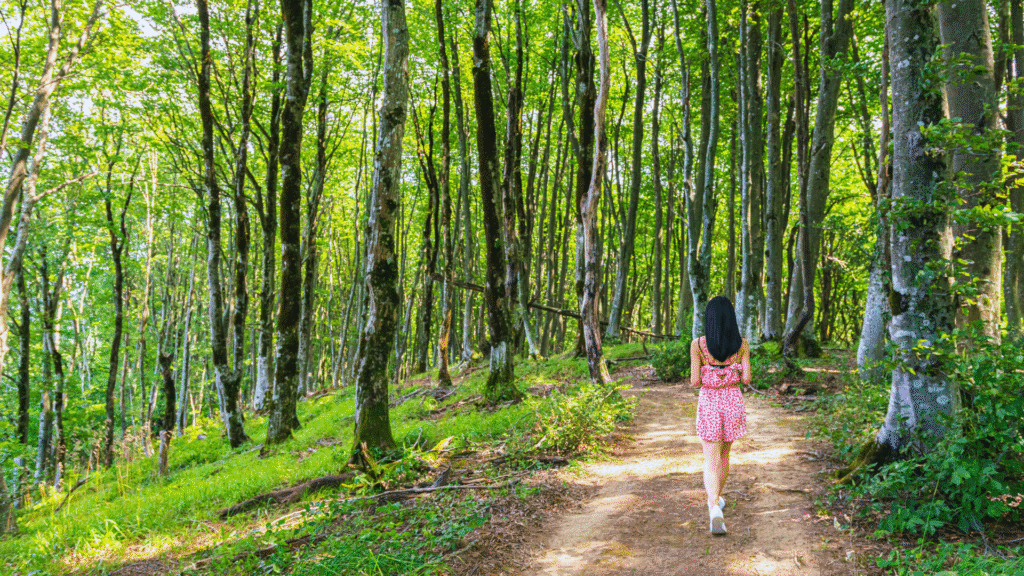 The Emotional Landscape of Long-Distance Walks: Exploring the Inner Journey of Trailblazers